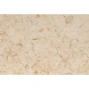 Jerusalem Bone limestone