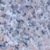 Giallo Gisella - Granite