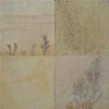 Fossil Mint Sandstone