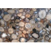 Natural Agate Semi Precious Stone