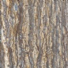 Mystic Travertine