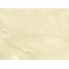 Camel Beige