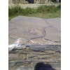 Random Flagstone