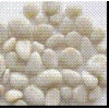 Ivory Pebble Stone