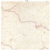 Shell Beige Marble