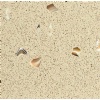 Engineered Quartz with Shells - YQ001K