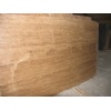 Beige Classic Travertine