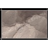 Dholpur Beige Natural Sandstone