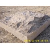 Mushroom Stone