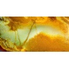 Jiyan Onyx