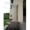 Column Golden Yellow Nakryvnaya plate Flower of Uk