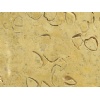 Shellstone