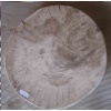 petrified wood home slice