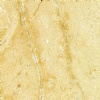 Camel Gold