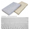 Paving stone