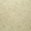 Fossil Oro Limestone