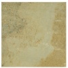 Fossil Multi Sandstone 30x30