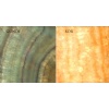 Gundi-Xor Onyx