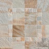 Golden Ray Quartzite Mosaic