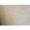 Rosa aurora batch N