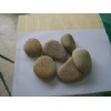 White Applanate Pebble