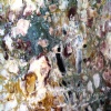 Breccia De Vendome marble