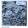 Granite G568 Surf White