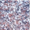 G639 Granite