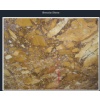 Breccia Siena