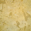 Jerusalem Yellow