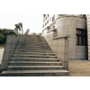 Stairs and Steps YX-SS10