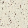 quartz stone flooring