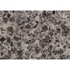 Leopard Skin