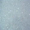 agglomerated stone(GR0726 silver star gray)