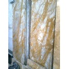 Rainforest Yellow