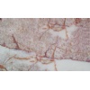 red cream oil marble