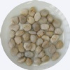 Natural river pebble