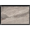 Lalitpur Grey Natural Sandstone