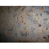 Moon Yellow Granite