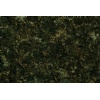 Verde Bahia Granite