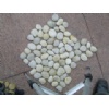 White Pebble With Net (Pebble Mosaic / Paving Ston