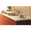 Quartzite Countertop / Kitchen Top