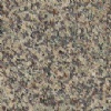 Violetta