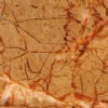 Rosa Atlantide