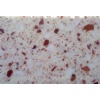 Artificial Quartz Stone, Engineered Stone 103