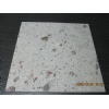 Gray Andesite