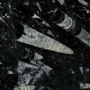 Nero Fossile