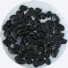 Black pebble stone, river pebble stone