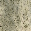 Verde Eucalyptus
