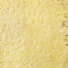 Solnhofener Stone